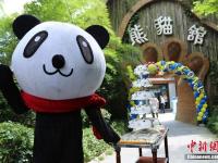 江苏南山竹海熊猫“奥运”迎八岁生日
