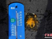 重庆高温天气 街头地面可以“烤肉”