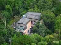 安徽闹市现“山里人家” 楼房建山顶树林环绕