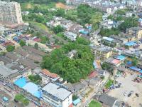 安徽闹市现“山里人家” 楼房建山顶树林环绕