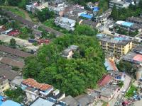 安徽闹市现“山里人家” 楼房建山顶树林环绕
