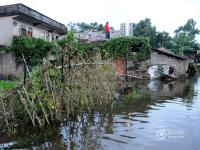 南宁村庄被雨水浸泡 村民在水中吃住 