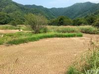 湖北神农架大九湖国家湿地公园疑遇