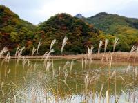 湖北神农架大九湖国家湿地公园疑遇