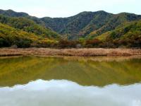 湖北神农架大九湖国家湿地公园疑遇