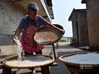 湖南郴州鱼粉传承人55年煮手工鱼粉400万份