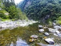 【醉美邵阳】洞口罗溪森林公园