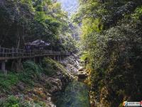 【醉美邵阳】洞口罗溪森林公园