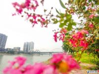 【醉美邵阳】市区资江北岸风光带