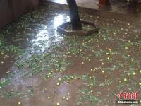 甘肃榆中突降冰雹 地上白茫茫一片
