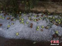 甘肃榆中突降冰雹 地上白茫茫一片