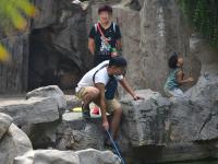 组图：郑州一公园景观池观赏鱼遭游客捕捞