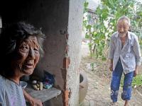 9旬老农夫妇的田园生活 一粒玉米都要捡起