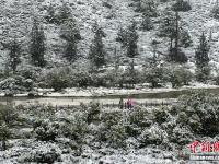 四川稻城亚丁九月飘雪银装素裹