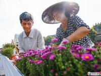 迎接党代会欢度国庆  邵阳35万盆鲜花扮靓星城