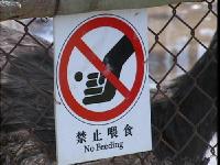 长颈鹿因乱投喂致死 被制成标本警示游客