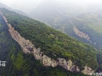 老人爬天梯种树30年把荒山变绿林 只为纪念一群人