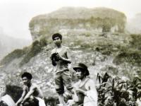 老人爬天梯种树30年把荒山变绿林 只为纪念一群人