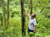 老人爬天梯种树30年把荒山变绿林 只为纪念一群人