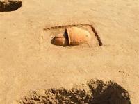 河北黄骅出土百座战国瓮棺葬 墓葬形制全国罕见