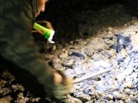 重庆一码头“挖宝客”聚集 不舍昼夜挖铜钱