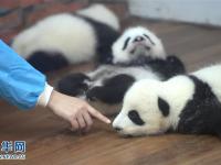 走进成都