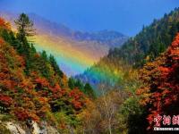 四川黑水满山红叶 犹如天然彩色画卷
