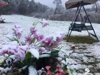 北京首场雪降落延庆海坨山 呈“海坨戴雪”景观