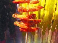“哈工程”糖葫芦成精了：辣条鸡翅黄瓜口味热销