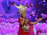 洞口县举行首届宗祠文化旅游节