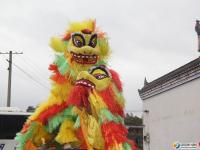 洞口县举行首届宗祠文化旅游节