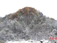 组图：冬天悄悄来临，各地陆续迎来降雪