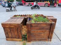 南宁数十花盆占道整治广场舞 如今植物枯死