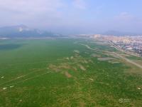 中国最大淡水湖鄱阳湖变“草原”