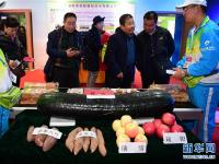  第23届中国杨凌农高会落幕　