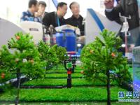  第23届中国杨凌农高会落幕　