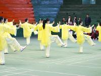 邵阳市文明单位太极拳表演赛举行