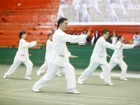 邵阳市文明单位太极拳表演赛举行