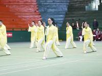 邵阳市文明单位太极拳表演赛举行
