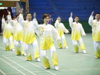 邵阳市文明单位太极拳表演赛举行