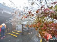 张家界迎入冬首场降雪 银装素裹雪景如画