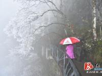 张家界迎入冬首场降雪 银装素裹雪景如画