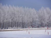 黑龙江牡丹江市现雾凇美景 冰天雪地美如画
