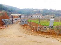 80后姑娘弃城市百万住房 回农村种地住窑洞