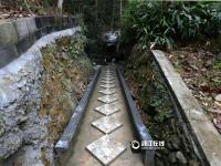  浙江一村民花10年将菜园打造成“私家园林”