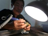  浙江一村民花10年将菜园打造成“私家园林”