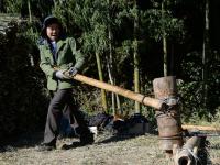 农村留守老人组团砍竹枝 三元一捆赚零花钱