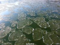 黄河河曲段两岸开始结冰 河道现大面积流凌