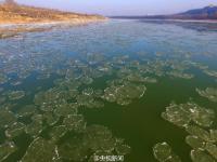 黄河河曲段两岸开始结冰 河道现大面积流凌