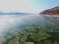 黄河河曲段两岸开始结冰 河道现大面积流凌